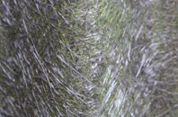 Park Bridge fibreglass roof work